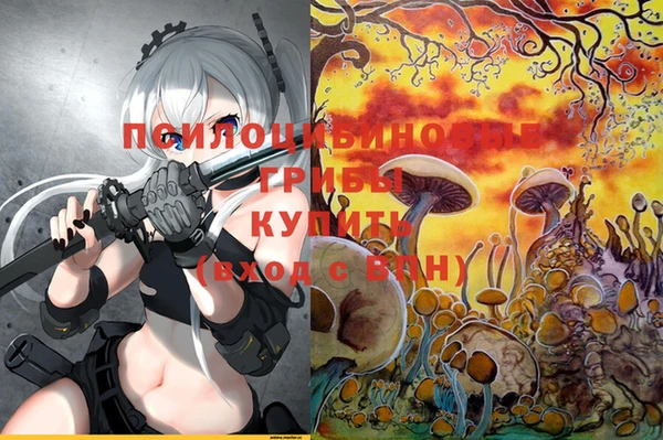 амфетамин Алексин