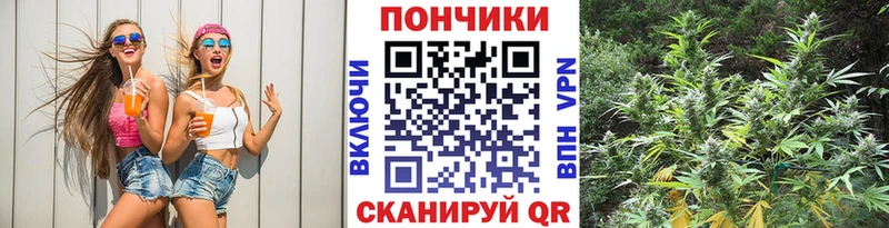 Бошки марихуана сатива Бабушкин